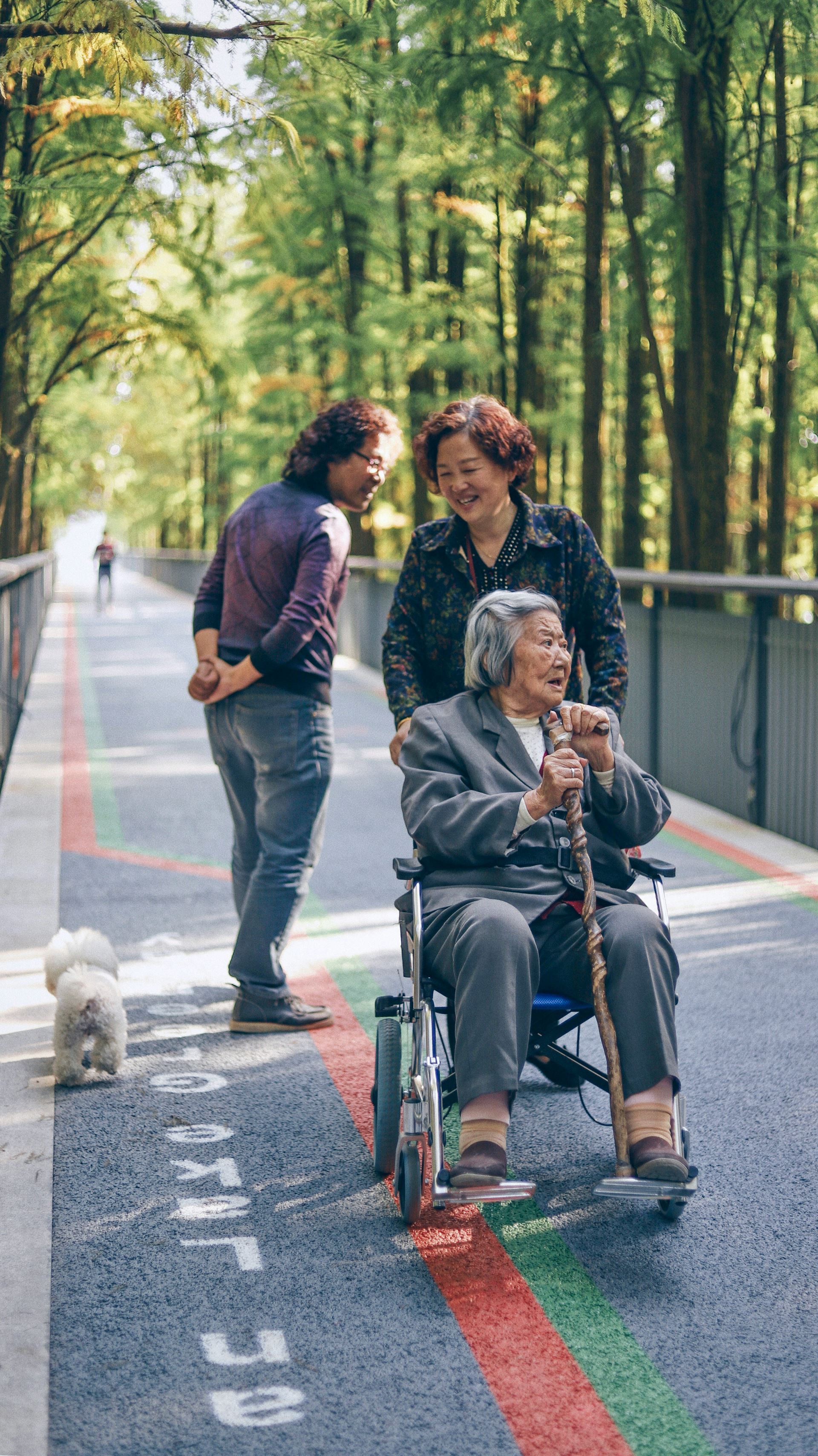 people on a bridge with a lady in a wheel chair 