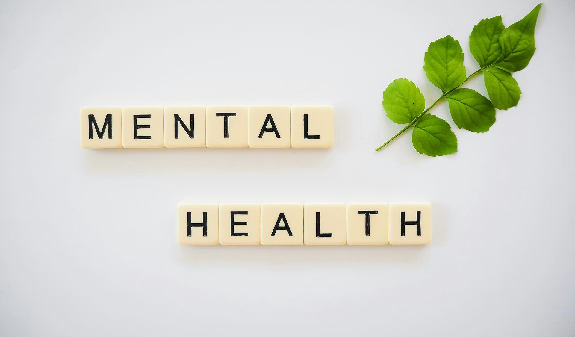 mental health logo